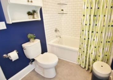 BATHROOM REMODELS WITH HISTORIC CHARM AND MODERN FUNCTION